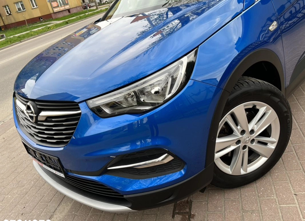 Opel Grandland X cena 61900 przebieg: 173555, rok produkcji 2018 z Działdowo małe 781